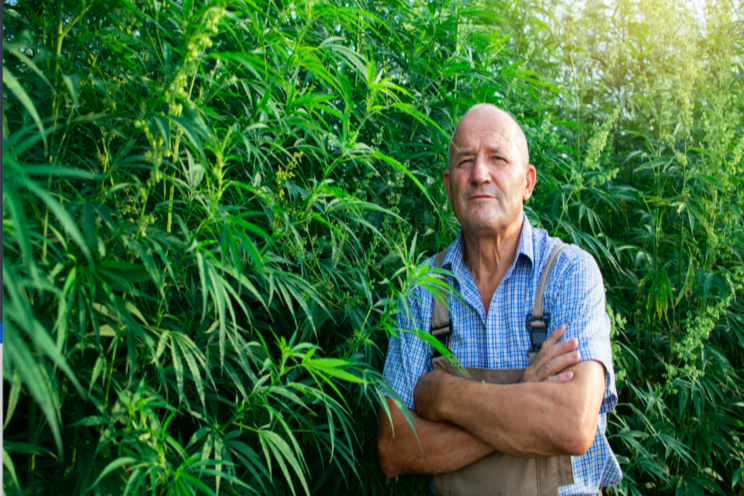 Millions lost on bad greenhouse deals Millions lost on bad greenhouse deals
