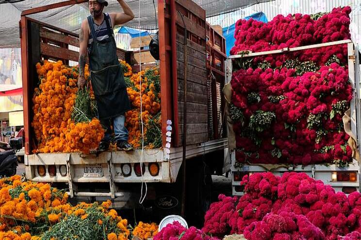 Shuttered cemeteries mean financial ruin for flower farmers Shuttered cemeteries mean financial ruin for flower farmers