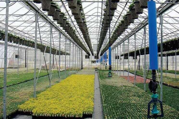 Success of CFAP program highlights importance of horti Success of CFAP program highlights importance of horti