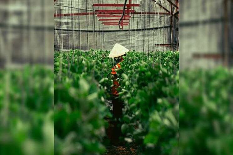New crop protection products through digitalization New crop protection products through digitalization