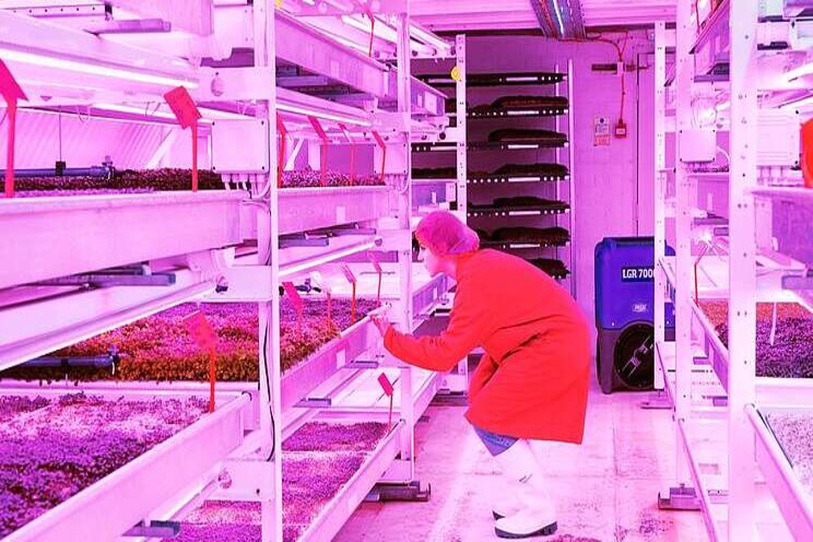 The future of farming is inside this bomb shelter The future of farming is inside this bomb shelter