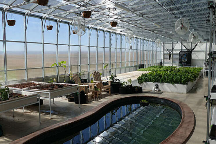 Large-scale kelp farm to be developed Large-scale kelp farm to be developed