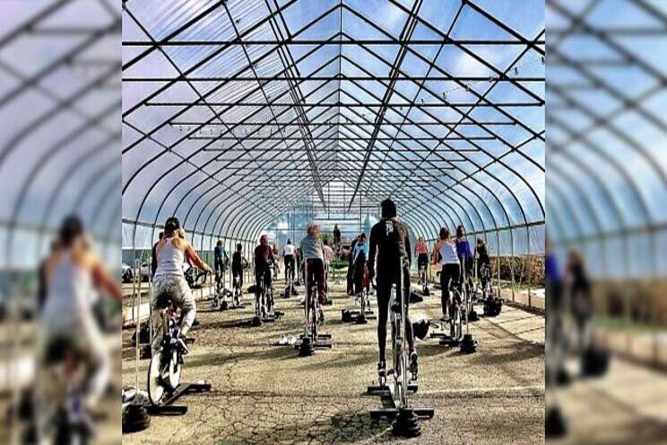 Greenhouse up and running! Greenhouse up and running!