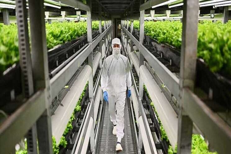 University of Tokyo partnership to boost indoor production University of Tokyo partnership to boost indoor production