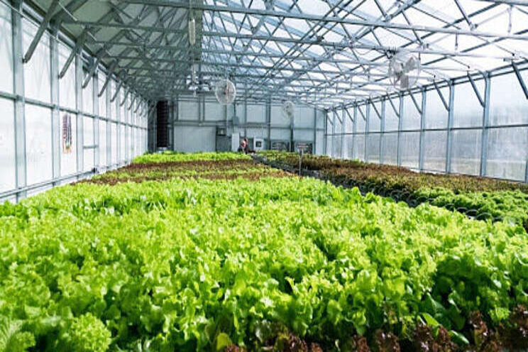 Advancing sustainability through smart greenhouse design Advancing sustainability through smart greenhouse design