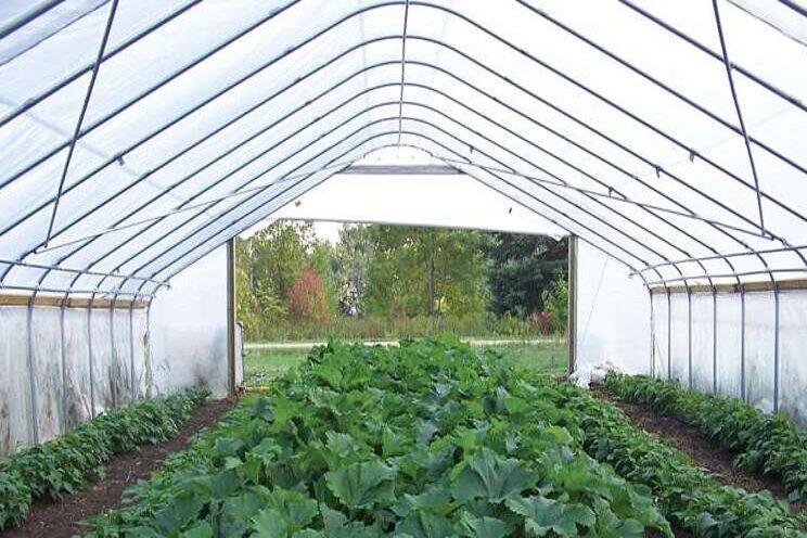 Greenhouse cladding 101 Greenhouse cladding 101
