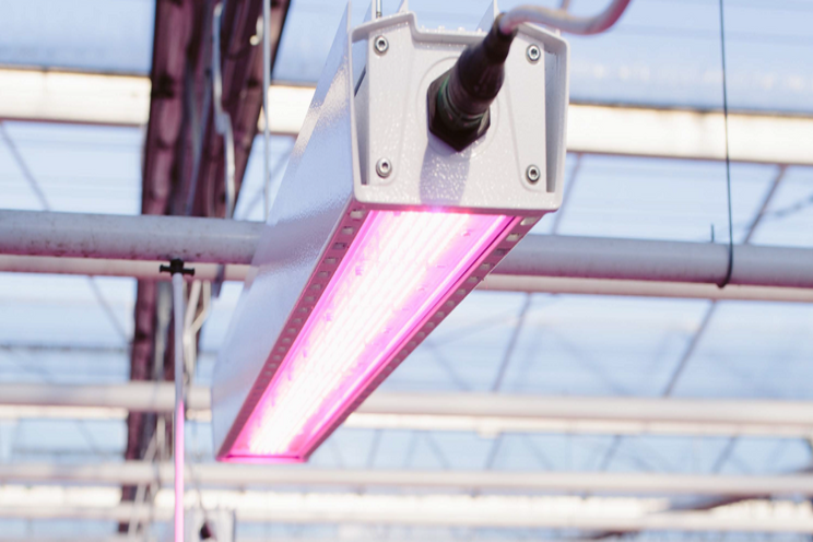 The ideal grow light solution for your cultivation goals The ideal grow light solution for your cultivation goals