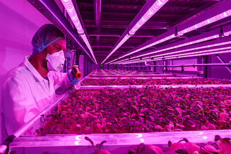 5 questions to answer before starting a vertical farm 5 questions to answer before starting a vertical farm