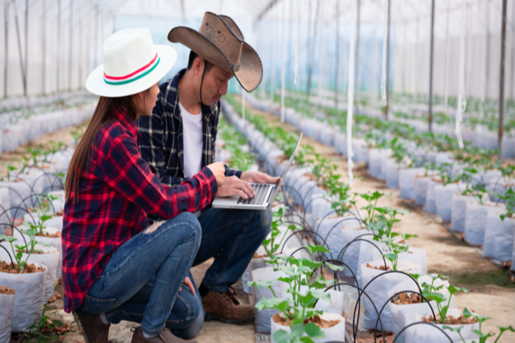Kenya develops integrated marketing strategy to boost horti Kenya develops integrated marketing strategy to boost horti