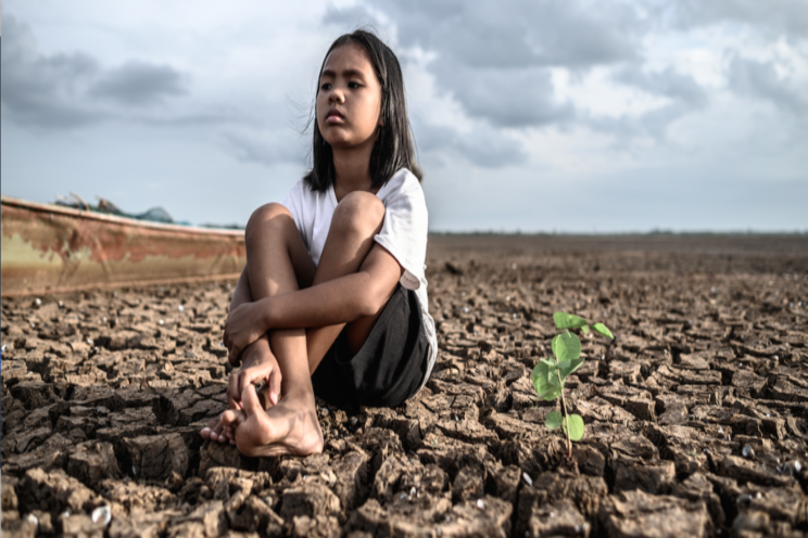To predict how crops cope with changing climate To predict how crops cope with changing climate