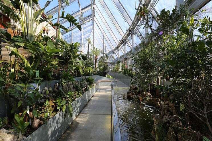 Greenhouse to generate all of its own energy Greenhouse to generate all of its own energy