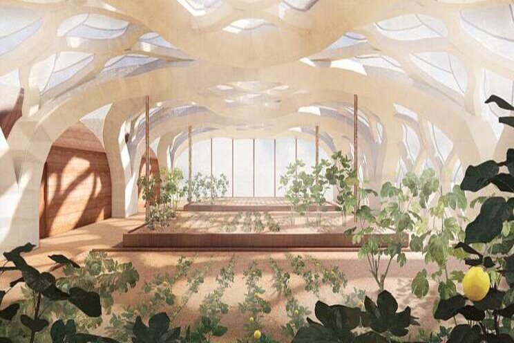 Inflatable bamboo greenhouses for sustainable farming Inflatable bamboo greenhouses for sustainable farming