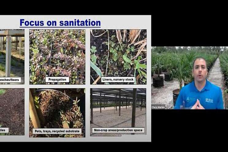 Expert advice on managing weed control costs Expert advice on managing weed control costs