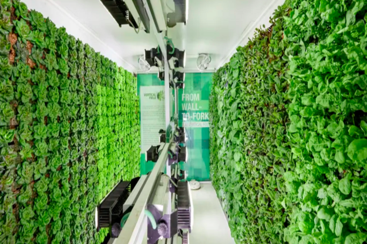 Israeli start-up makes vertical farms to grow crops Israeli start-up makes vertical farms to grow crops
