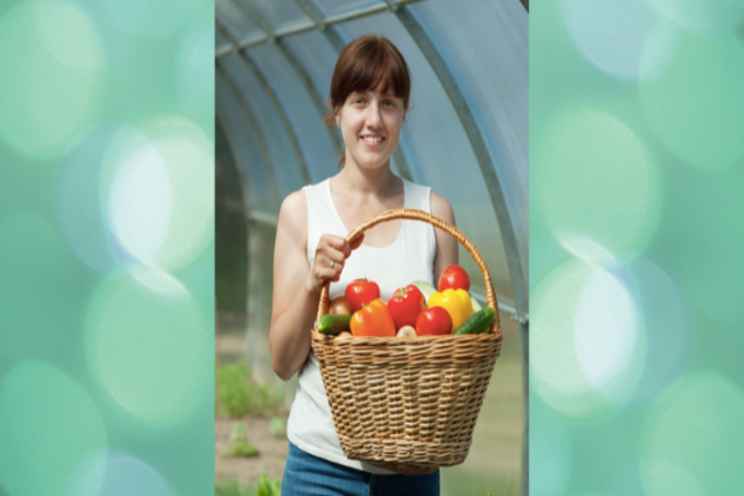 What vegetables grow well in a greenhouse? What vegetables grow well in a greenhouse?