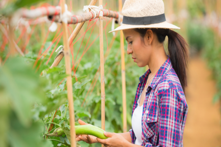 Natural chemicals without harming the planet Natural chemicals without harming the planet