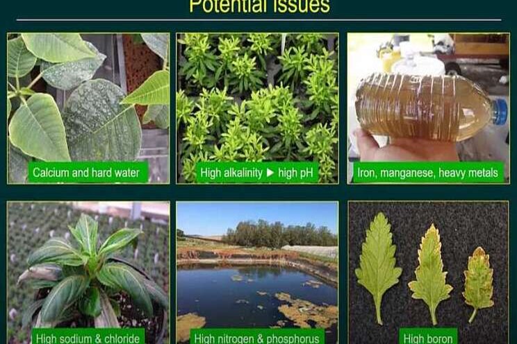 Watch and learn to solve chemical issues in irrigation Watch and learn to solve chemical issues in irrigation
