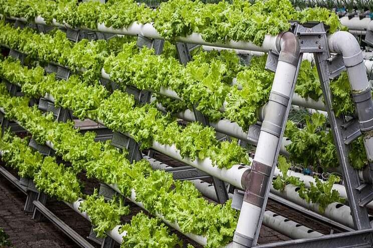 Vertical farming goes high-tech and underground Vertical farming goes high-tech and underground