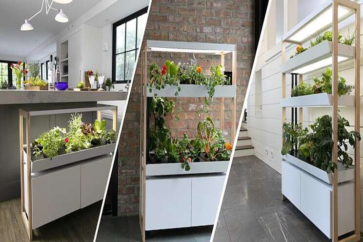 Amazon invests in vertical farming Amazon invests in vertical farming