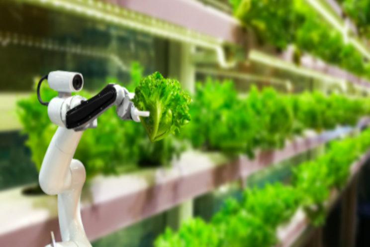 Whole Foods UK to install vertical farming units Whole Foods UK to install vertical farming units