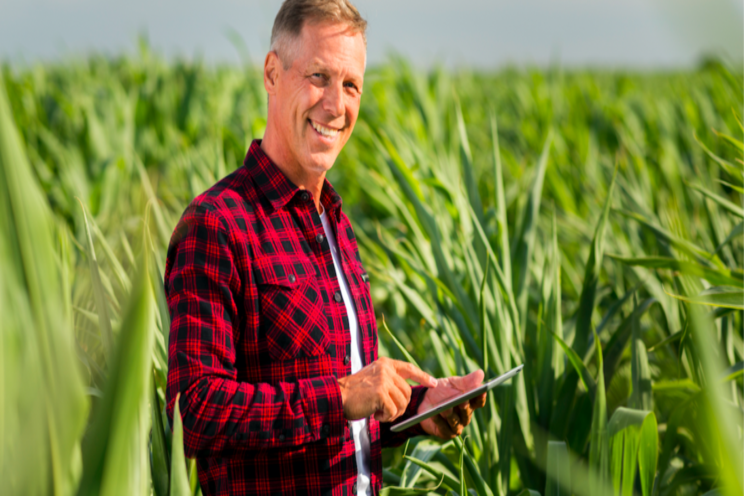 Can organic plant protection products damage crops? Can organic plant protection products damage crops?