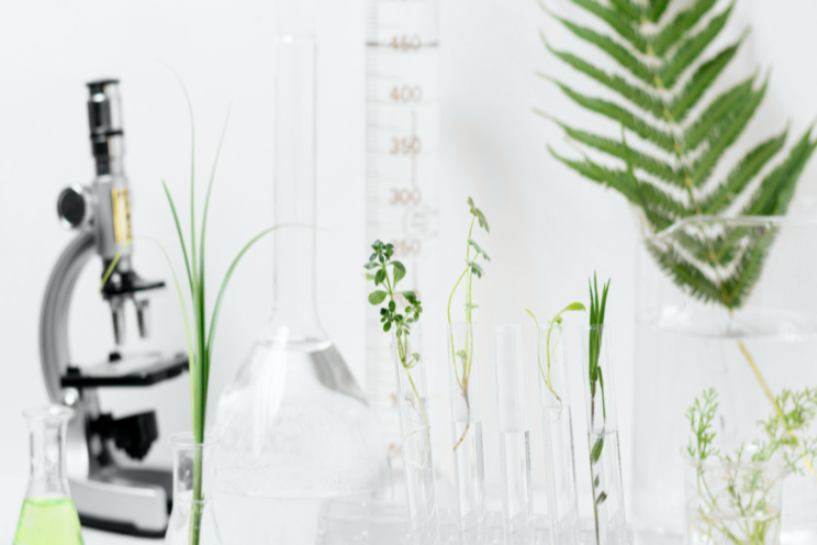 Genome editing tech could revolutionise agri Genome editing tech could revolutionise agri