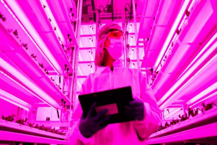 Kalera to open newest vertical farming facility in Denver Kalera to open newest vertical farming facility in Denver