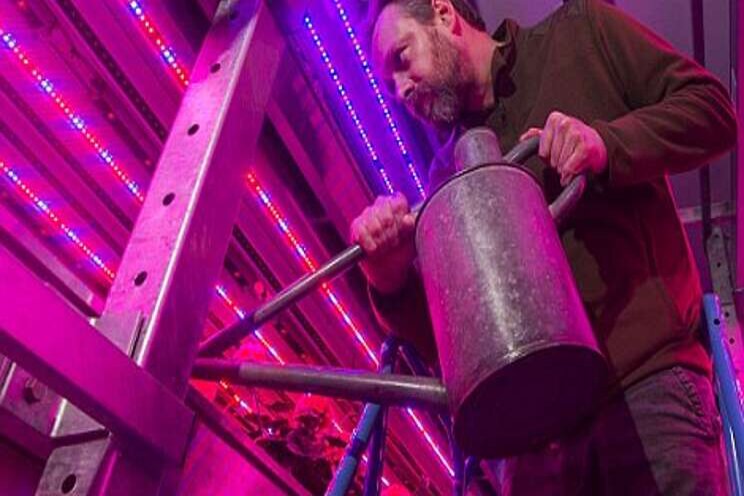 Good LED light penetration improves high-wire crop yields Good LED light penetration improves high-wire crop yields