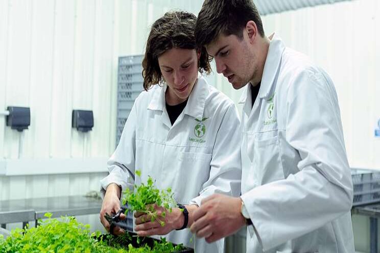 Get the lowdown on nutrient analysis in vegetables Get the lowdown on nutrient analysis in vegetables