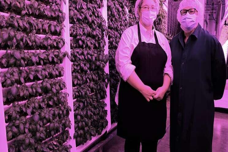 Living Greens Farm ready for coast-to-coast expansion Living Greens Farm ready for coast-to-coast expansion