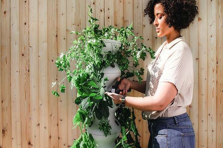 Why gardening is so good for you Why gardening is so good for you
