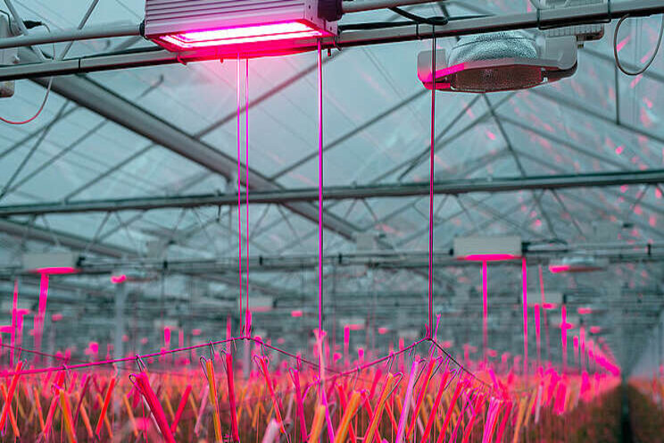 75% more light with LED 75% more light with LED