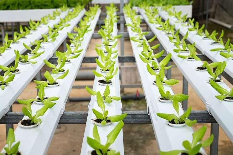 New grant to build next generation of food experts New grant to build next generation of food experts