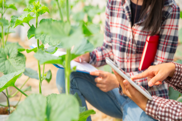 How tech farming is transforming India's agri landscape How tech farming is transforming India's agri landscape