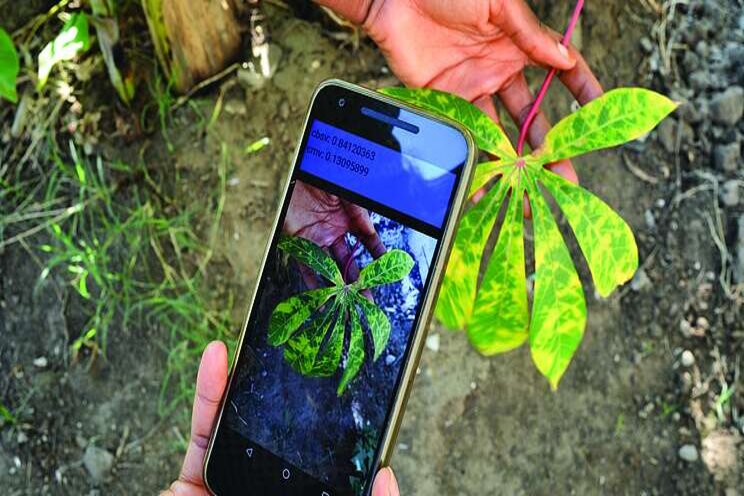 Pioneering AI-powered crop diagnostics Pioneering AI-powered crop diagnostics