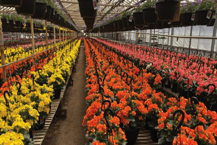 Quality starts for quality plants Quality starts for quality plants