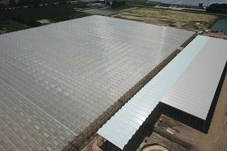 Greenhouse veggy operation sets sights on huge growth Greenhouse veggy operation sets sights on huge growth