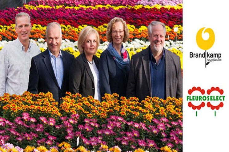Brandkamp joins Fleuroselect Brandkamp joins Fleuroselect