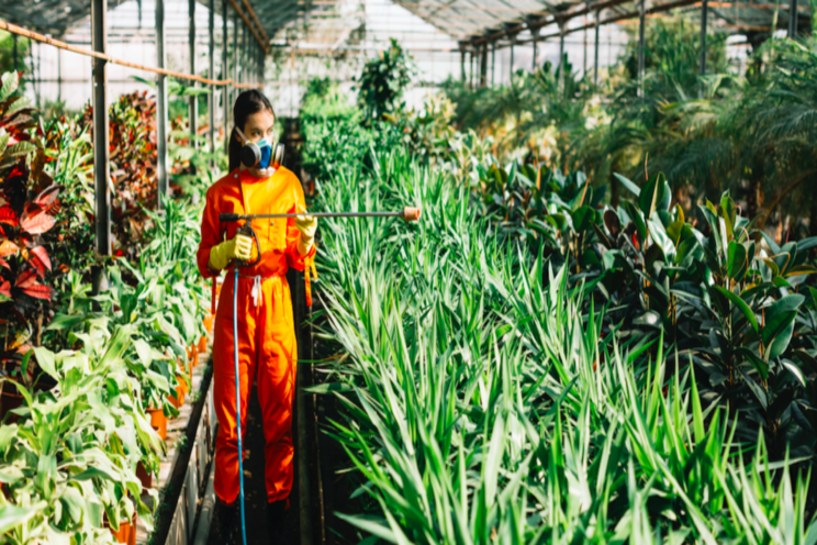 SDTC project Targeted Delivery of Biopesticides SDTC project Targeted Delivery of Biopesticides