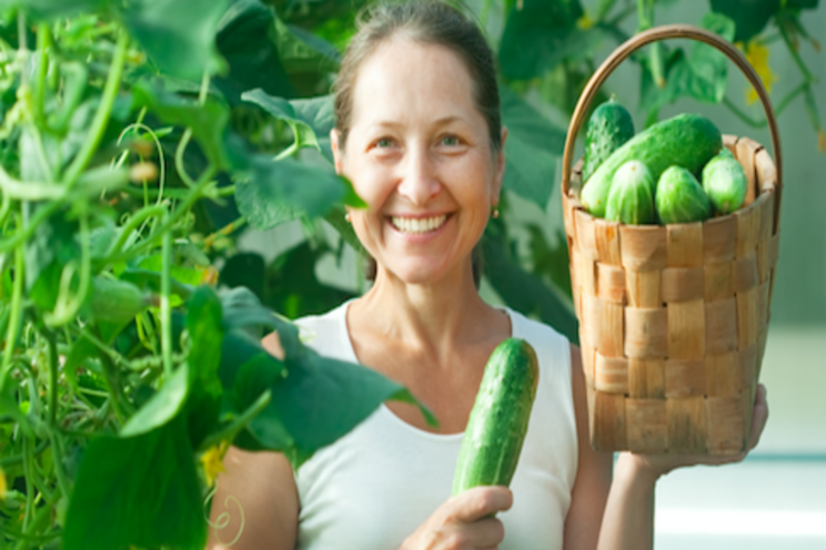New resistance to cucumber mosaic virus New resistance to cucumber mosaic virus