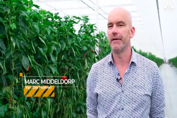 How renewables and greenhouses are teaming up How renewables and greenhouses are teaming up