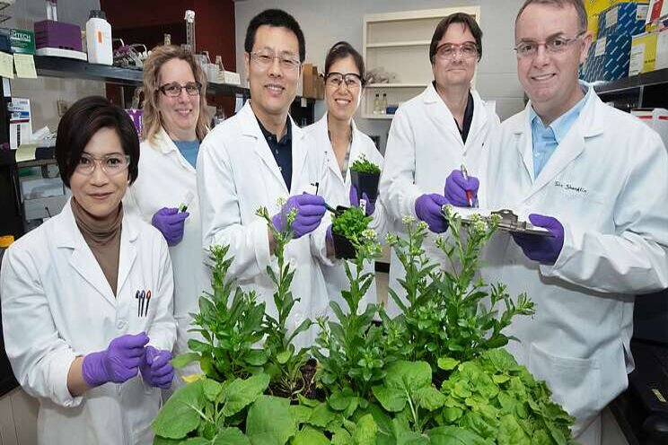 New gene editing tools New gene editing tools