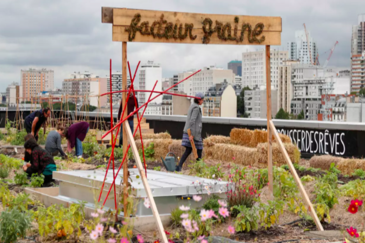 Why the world needs more urban farming post-pandemic Why the world needs more urban farming post-pandemic
