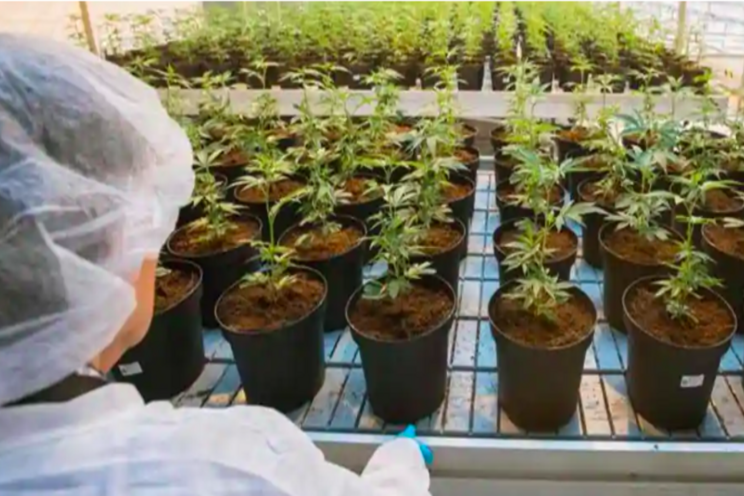 First quarantine facility for imported horti crops First quarantine facility for imported horti crops