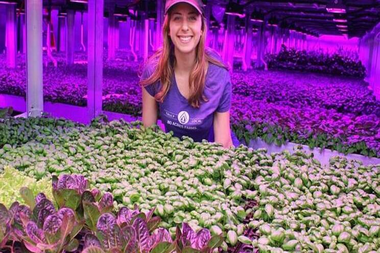 Changing the face of vertical farming Changing the face of vertical farming