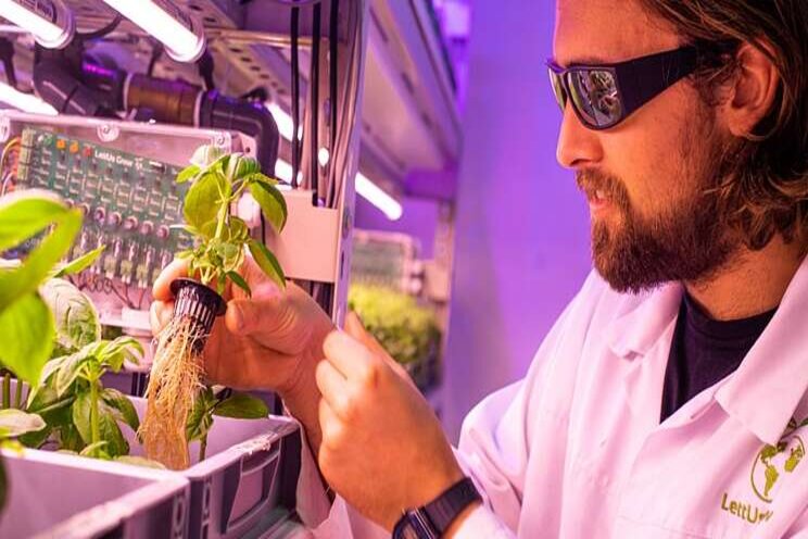 High hopes for UK vertical farming startup High hopes for UK vertical farming startup