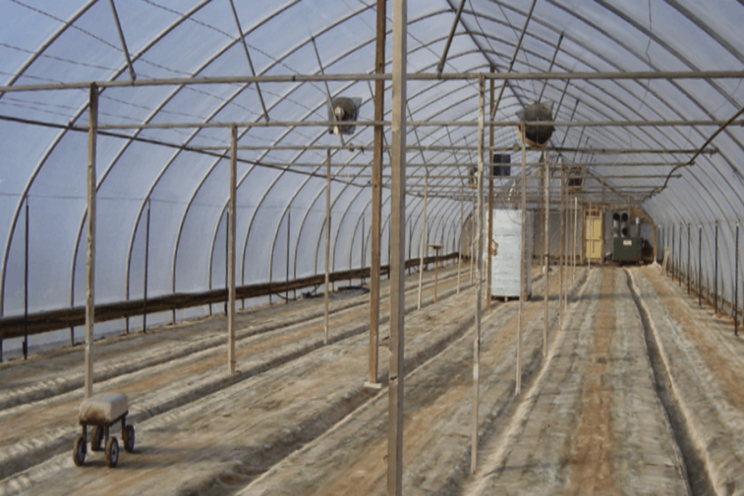 10 tips for closing down a greenhouse for the winter 10 tips for closing down a greenhouse for the winter