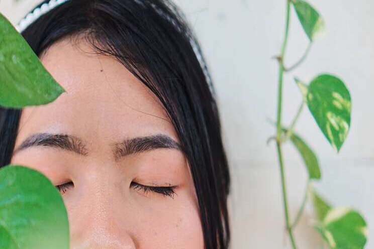 Fertilizer 101: How to use it for healthier houseplants Fertilizer 101: How to use it for healthier houseplants