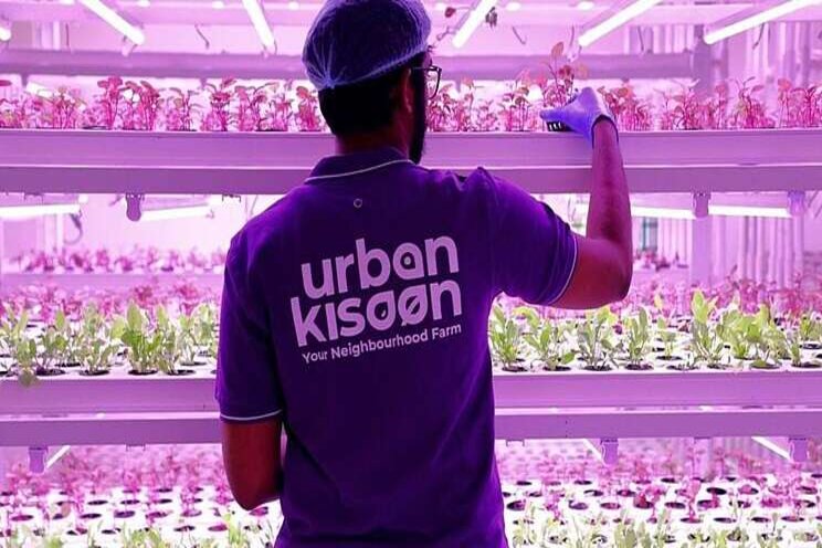 Urban home farms will take root Urban home farms will take root