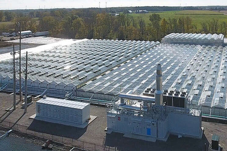 The next level of greenhouse cogeneration The next level of greenhouse cogeneration